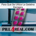 Para Qué Se Utiliza La Gelatina Kamagra 09